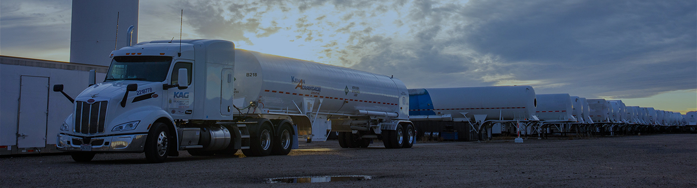 Transport-Insights-Blog-Header Transport Insights