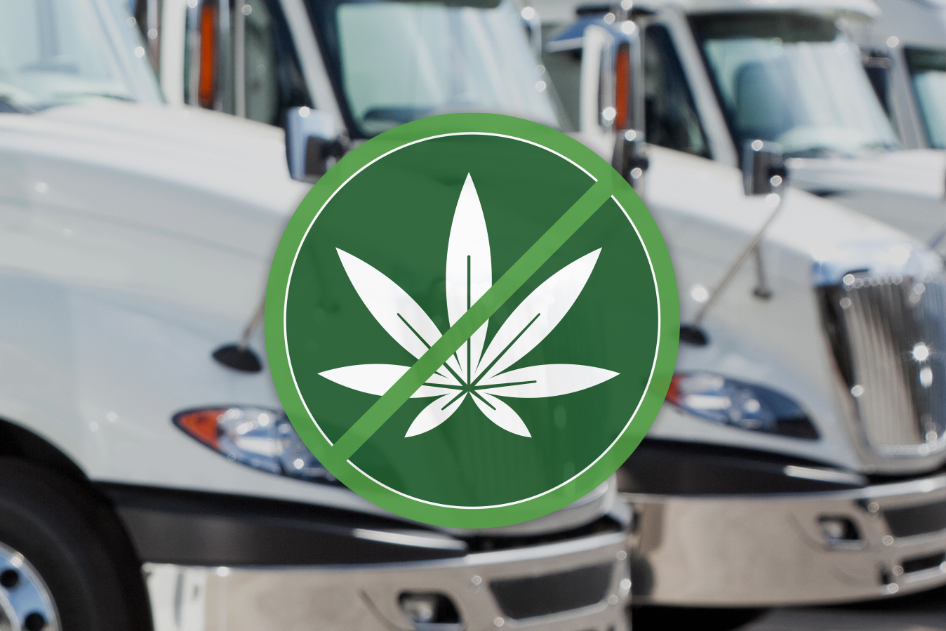 5dd5694665518f2947a43702 Dangers of Driving While High